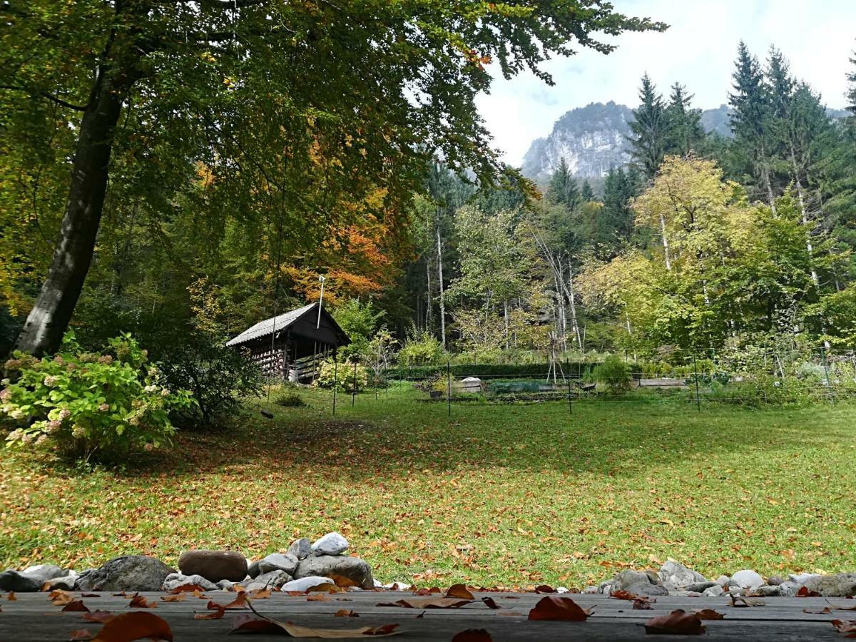 Chalet Iskaretreat Ig Eksteriør bilde